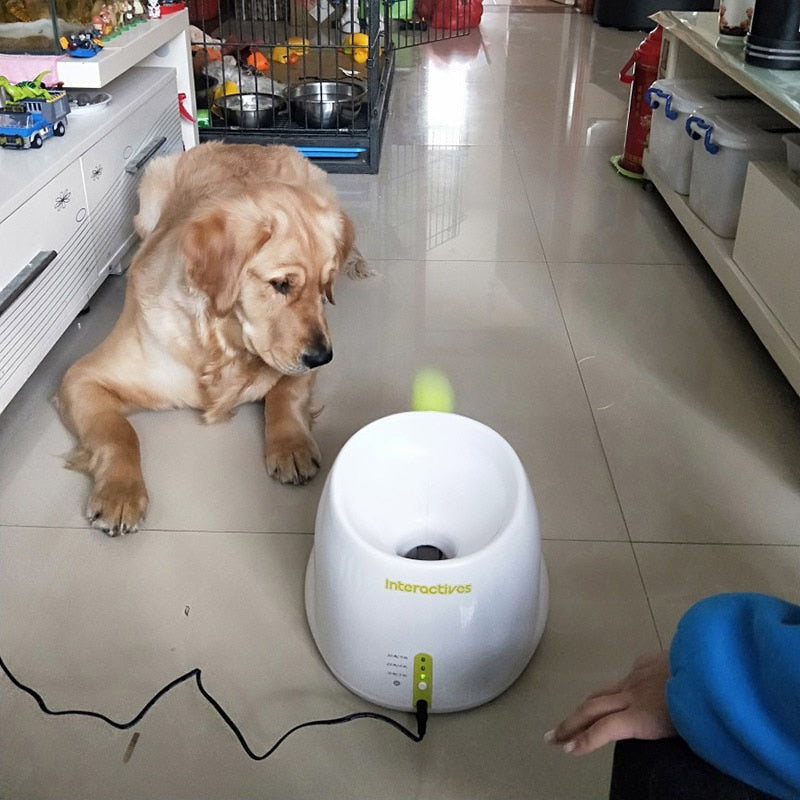 automatic ball launcher, automatic dog throwing machine, best auto dog ball launcher, puppy ball launcher, tennis automatic ball thrower