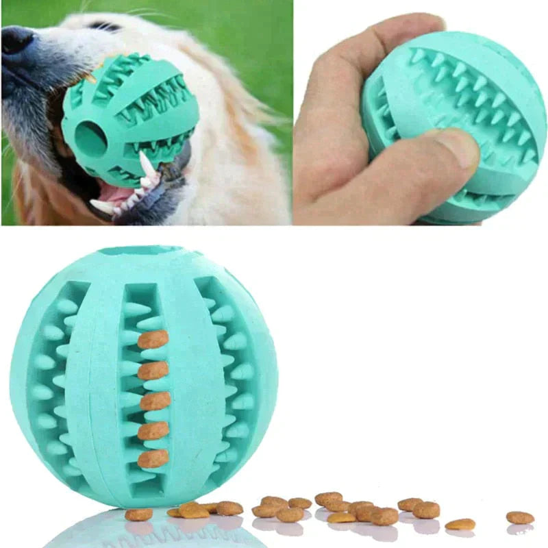 dog chew toys, pet toy, best dog chew toys, best pet toys, dog toy shop, puppy accessories