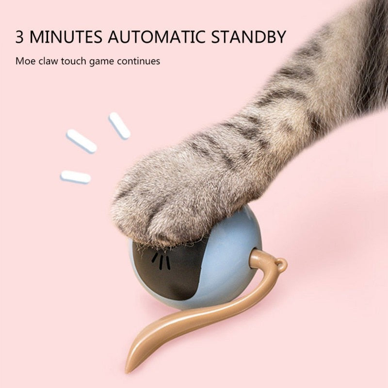 cat toys for smart, intelligent cat toys, best toys for smart cats, best smart cat toys, smart cat accessories