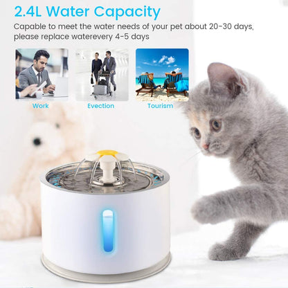 cat water fountain, automatic cat water fountain, best water feeder for cats, cat auto water dispenser, water fountain for kittens