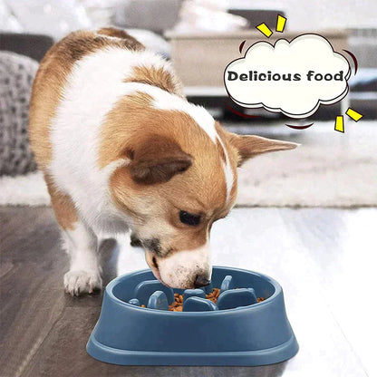 pet slow feeder bowl, dog bowls for fast eaters, best slow feeder dog bowl, small slow feeder dog bowl, dog dishes to slow down eating, best dog food bowl for fast eaters