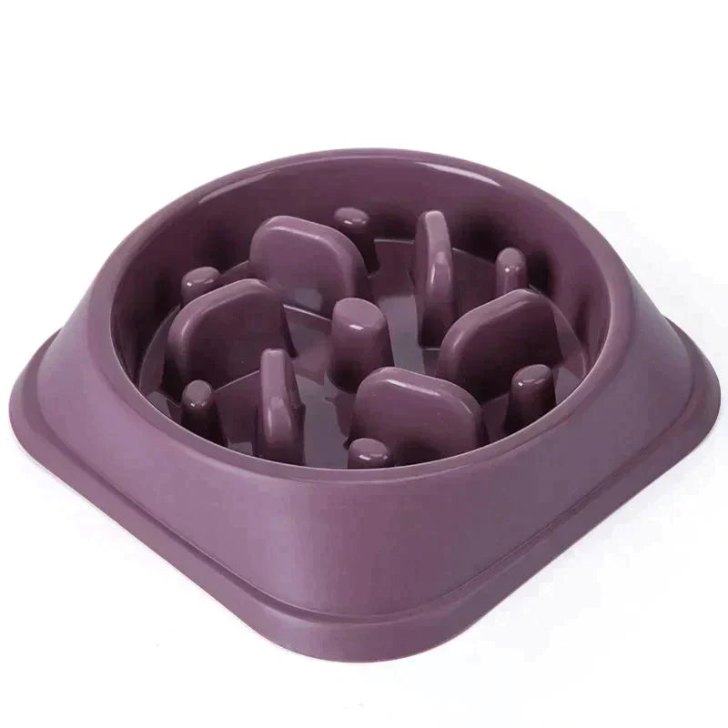 pet slow feeder bowl, dog bowls for fast eaters, best slow feeder dog bowl, small slow feeder dog bowl, dog dishes to slow down eating, best dog food bowl for fast eaters