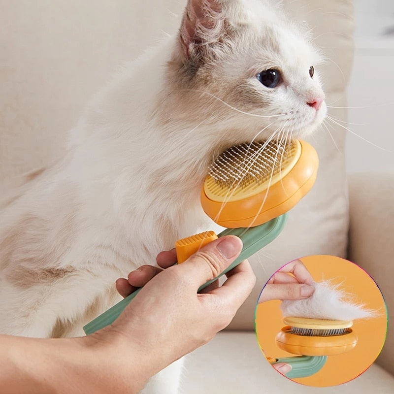 pumpkin pet brush, cute pumpkin self cleaning, cat brush for shedding, brushes pumpkin for Dogs, pumpkin cat hair brush, pumpkin self cleaning brush