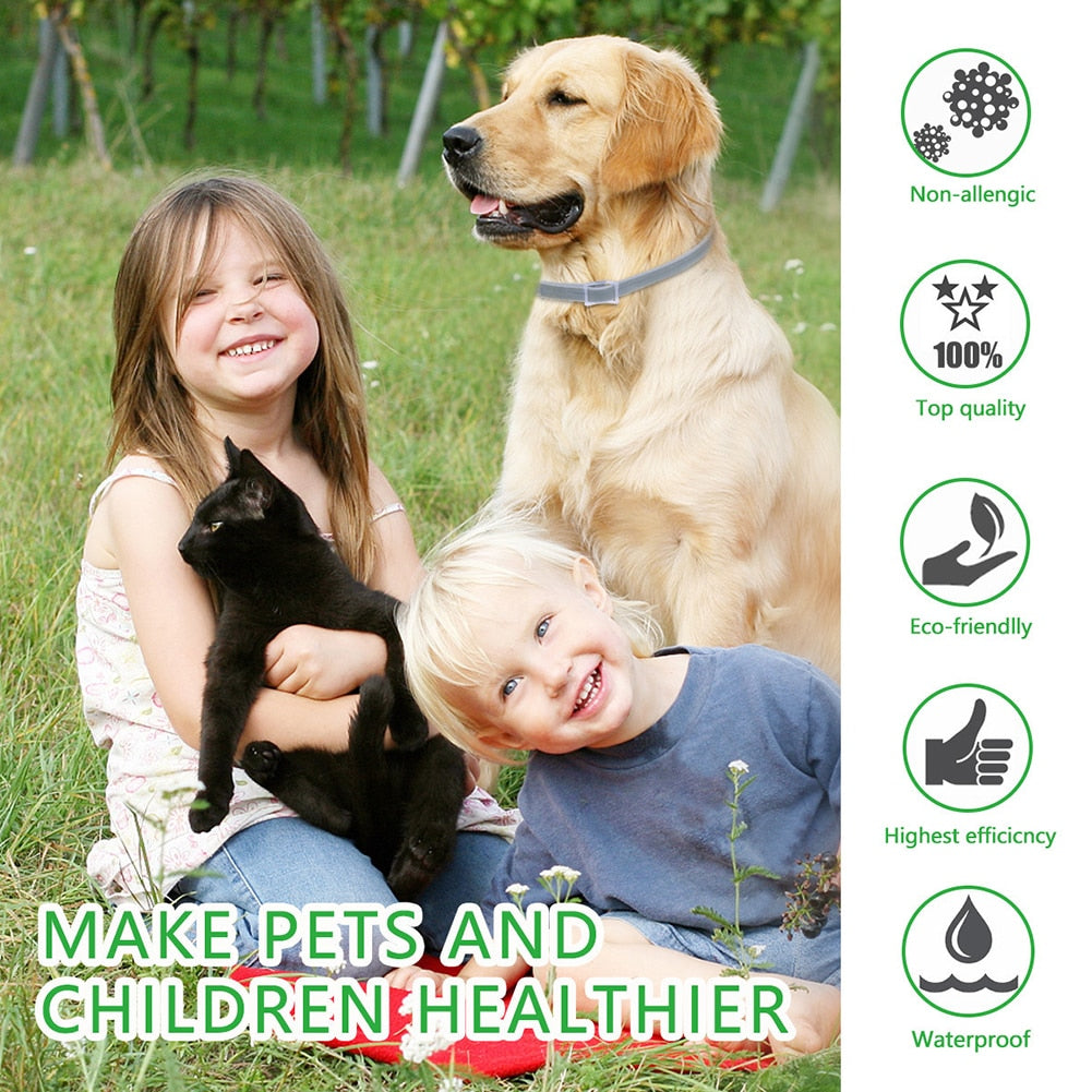 pest control collar for pets, puppy collars, buy dog collar, dog neck collar, mosquitoes ticks insect collar