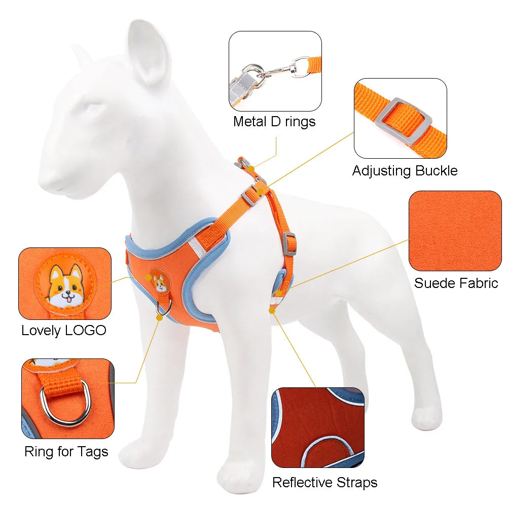 usa best dog harness, dog harness and leash, best puppy harness, buy dog harness, best dog belt