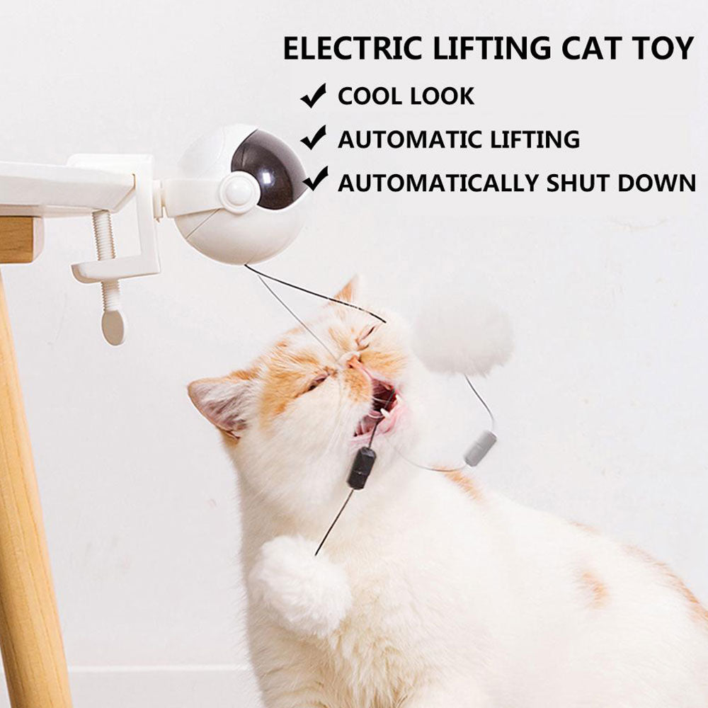 automatic lifting cat ball toy, cat ball toy, ball toys for cats, best balls for cats, plush ball cat toy